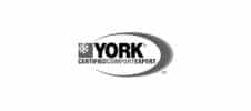 york logo